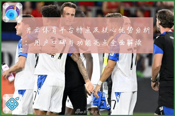 开云体育平台特点及核心优势分析：用户口碑与功能亮点全面解读