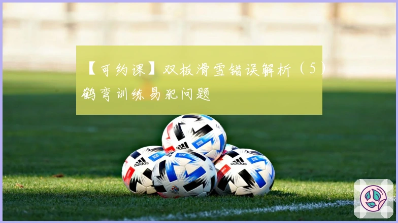 【可约课】双板滑雪错误解析（5）鹤弯训练易犯问题